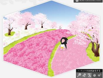 PP4-芝桜と並木道.jpg